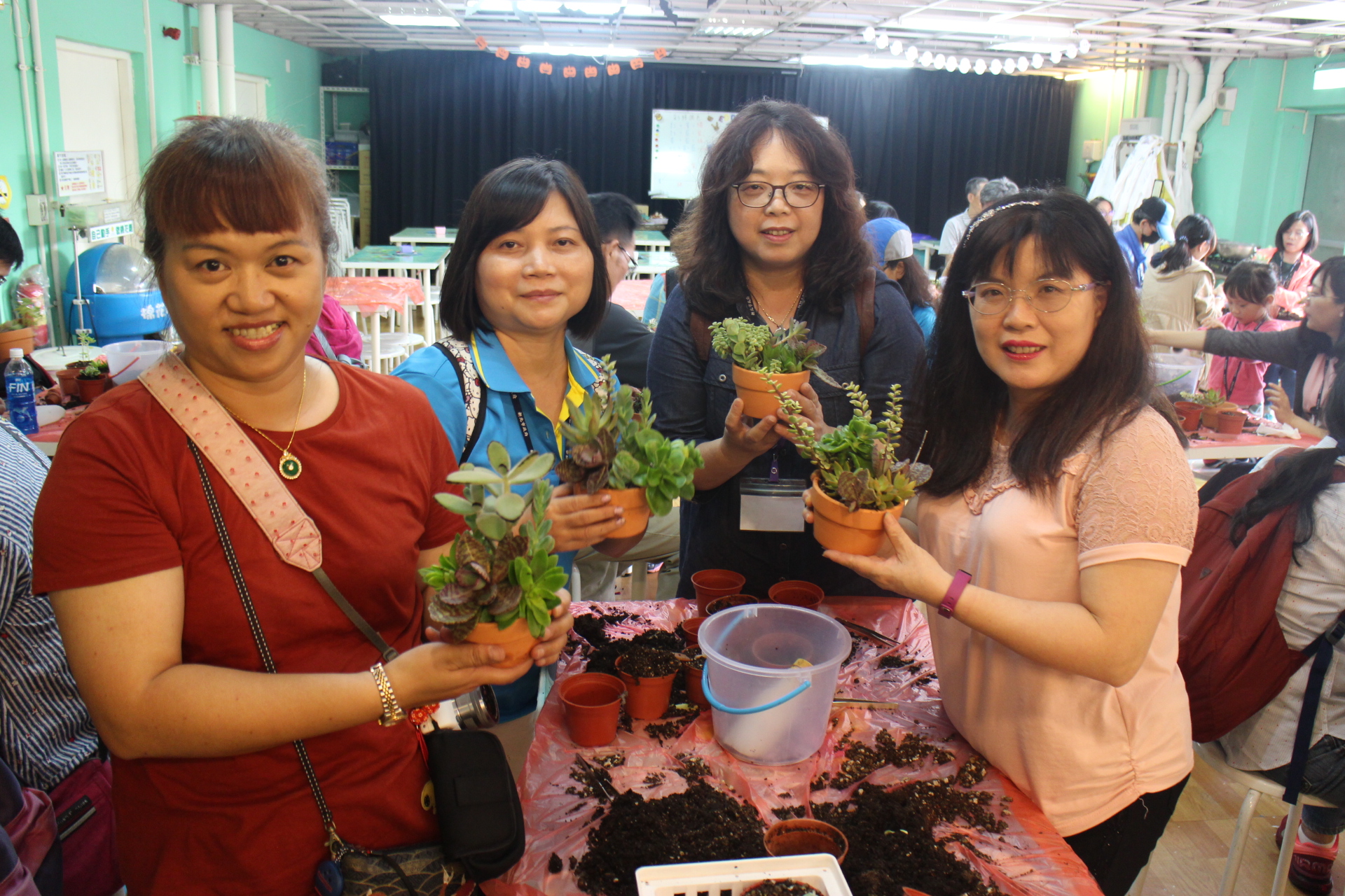 DIY多肉植物成功~
