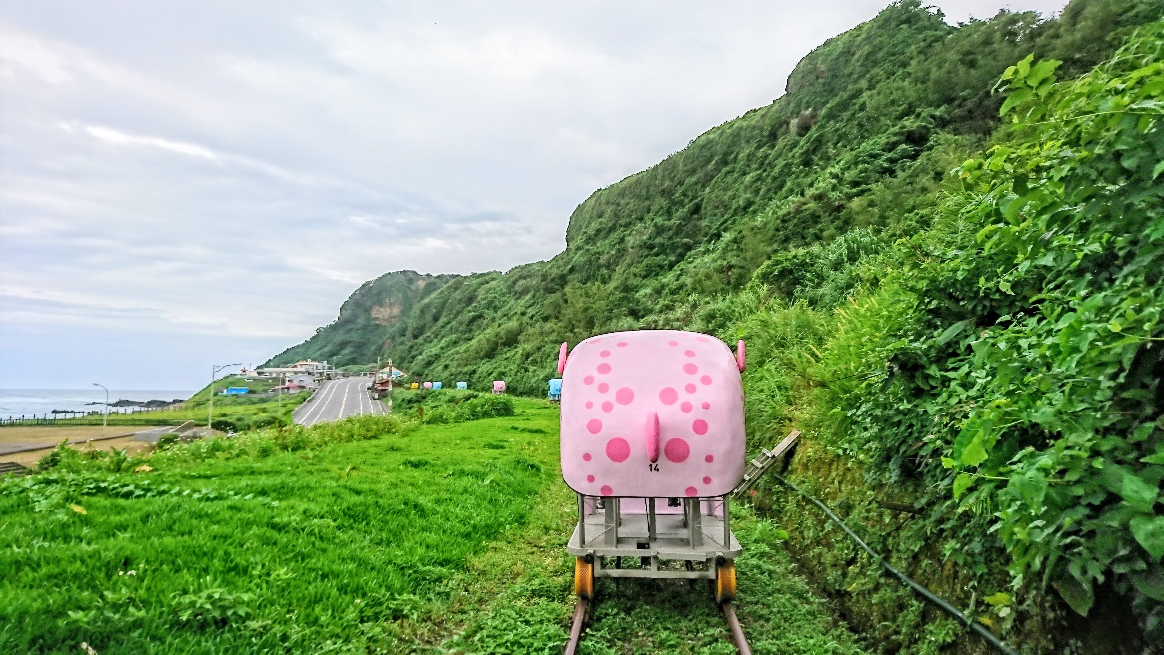 搭乘海豚造型自行車，左擁大海右抱山嵐，享受海風
